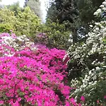 Margherita Bed & Breakfast