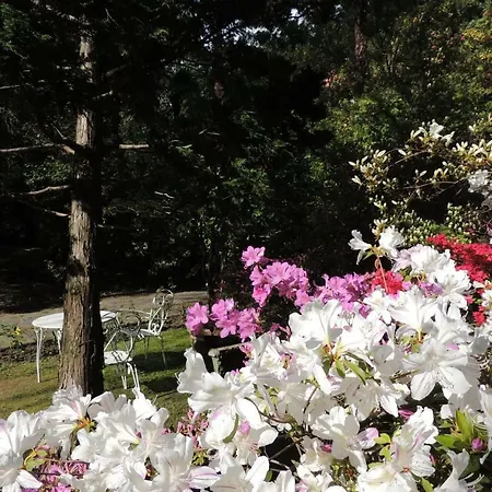 Margherita Frühstückspension 3*