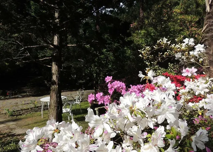 Margherita Bed and breakfast 3*